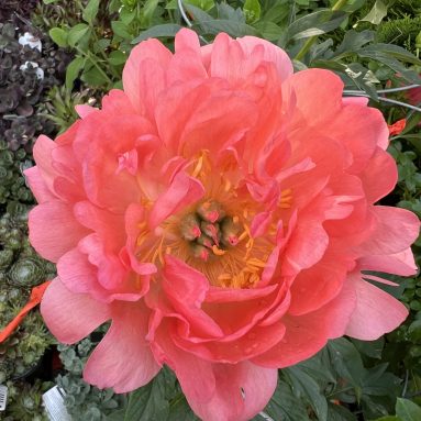 Banner3 Scaled